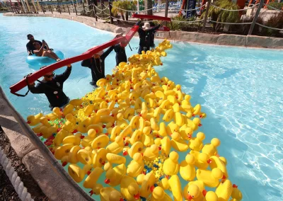 Duck race underway with lifeguards helping guide the rubber duckies floating down the lazy river at Island H20 Waterpark