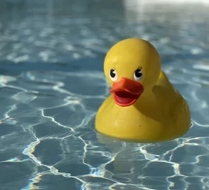 Little duckie floating in water