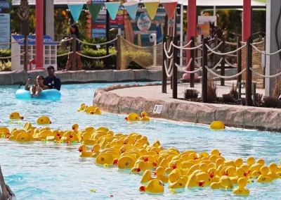Duck race underway with rubber duckies floating down the lazy river at Island H20 Waterpark