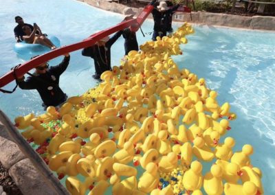 Duckies in a race