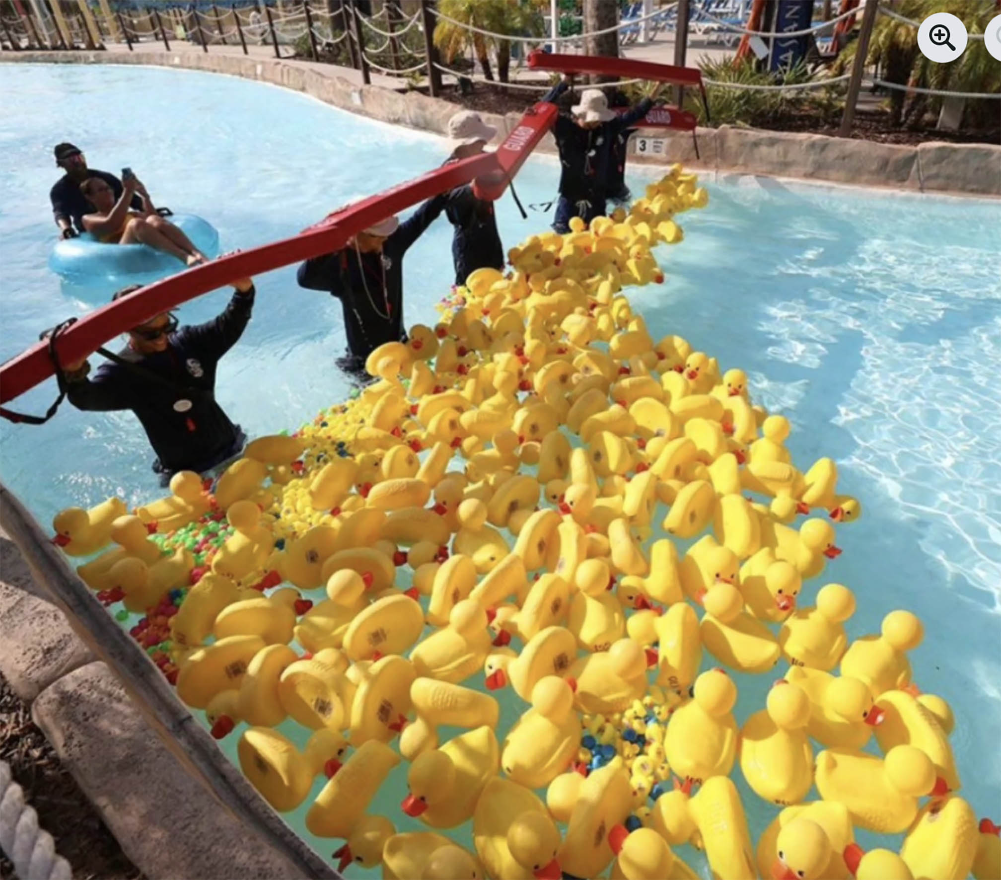 Screenshot Duckies in a race
