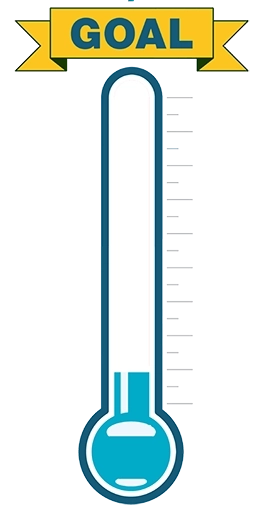 THERMOMETER for goal